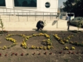 SGK MÜDÜRÜ AZİZ BOZ’DAN ÇİÇEKLİ İSİM Fotoğrafı