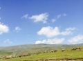 PROJE YOK, ÇALIŞMAK YOK RANT ÇOK Fotoğrafı
