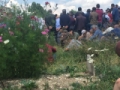 MİLLETVEKİLİ ATALAYIN ANNESİNİN CENAZESİ BU TOPRAĞA VERİLDİ Fotoğrafı