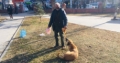 Aldığı emekli maaşının tamamını sokak hayvanlarına harcıyor Fotoğrafı