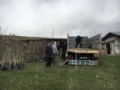 Köylülerden imece usulü ağaçlandırma kampanyası Fotoğrafı