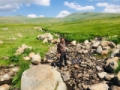 Ardahan ‘da Kırmızı benekli alabalıkların nesli tükeniyor Fotoğrafı