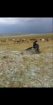 Ardahan ‘a dolu yağdı Fotoğrafı