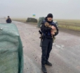 Savaşın mağdurları tüm canlılar Fotoğrafı