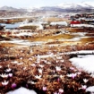 Ardahan’da kardelenler açtı Fotoğrafı