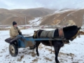 Köylülerin nalbantçılıkla imtihanı Fotoğrafı