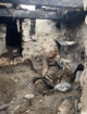 Ardahan ‘da çıkan yangında 5 adet inek telef oldu  Fotoğrafı