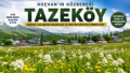 Hoçvan’ın Gözbebeği Tazeköy Yazla Birlikte Yeniden Canlandı Fotoğrafı