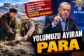 Yolu Ayıran Para Fotoğrafı