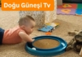 Sevimli bebekler ve kediler Fotoğrafı