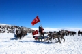 ÇILDIR GÖLÜNDE; ALTIN ATLAR ZAMANI Fotoğrafı
